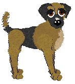 Tao's Reedwater Trapper — “Finlay”