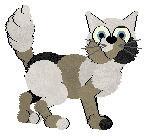 Madcap/NMDC's Midnight Singer — “Sonata”