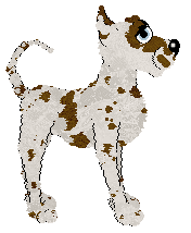 HK/Tangled's And We're Back — “Gopher”