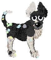 Profile image of Witz/Tangled's Be Kind and Rewind