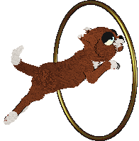 Vanilla's Vitality Glitch at Kamome — “Bennie”