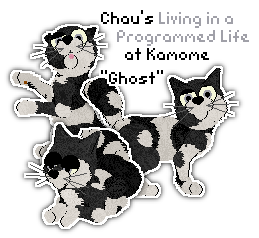 Profile image of Chau's Living in a Programmed Life at Kamome