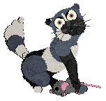 L38 Running Roadless at Kamome — “Henya”