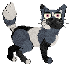 L38 Running Roadless at Kamome — “Henya”