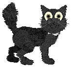 Profile image of Wild Road's Witchy Herb