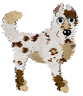 Profile image of Wild Road's Zoomie Zoomie Zoom