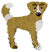 Profile image of Funfetti's Sight To Behold at Wild Road