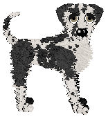 Zan's Small Waves at Wild Road — “Phryxos”