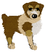 Wild Road's Showgirl — “Marlee”