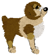 Profile image of Wild Road's Showgirl