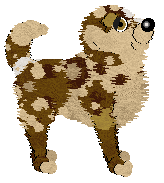 Profile image of Wild Road's Mabelle Mabelle