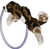 Funfetti's Splatters and Splotches at Ferality — “Splotch”