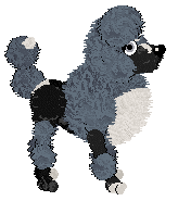 Ferality's Aqua Impact at Vanilla — “Splash”