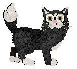 Kamome's Smells Like Nirvana — “Jim”