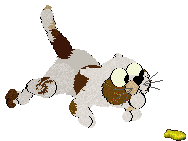 Shipwreck's Misremembered Anecdote at Kamome — “Blusher”