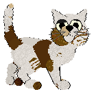 Shipwreck's Misremembered Anecdote at Kamome — “Blusher”