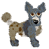 Funfetti's Wished For Friendship — “Cassonade”