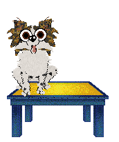 Xoops Happy And You Know It at Cirrutopia — “Happy”