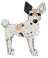 Funfetti/Poppyhill's Starcrossed Wonder — “Orbitza”