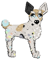 Profile image of Funfetti/Poppyhill's Starcrossed Wonder