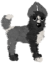 Krunchez' Midnight Tailcoat — “Tuxley”