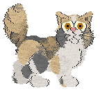 Folklore Big and Fluffy — “Marshmallow”