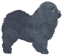 Profile image of Blind Faith at Powerhouse