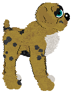 Profile image of EC's Balki Bartokomous