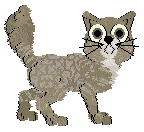 Lilipad's Whiskers out of Joint at Mythic Silence — “Mochi”