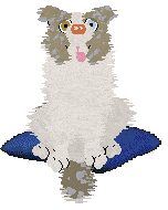 NSP's Konstantinos at Come Bye — “Kotal”