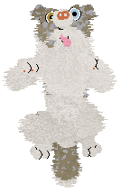 NSP's Konstantinos at Come Bye — “Kotal”