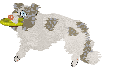 NSP's Konstantinos at Come Bye — “Kotal”