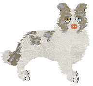 NSP's Konstantinos at Come Bye — “Kotal”