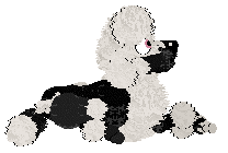 Poppyhill/FDL's Monochrome Sovereign — “Imperial”