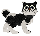 Profile image of Ferality/FDL's Patent Pending