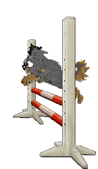 Profile image of Cirrutopia's Creeping Myrtille