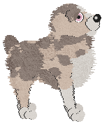 Spellbound/FDL's Pasture in the Lucky Country — “Clover”