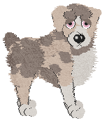 Profile image of Spellbound/FDL's Pasture in the Lucky Country