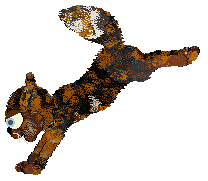 Funfetti Apiary In The Woods — “Honeybit”