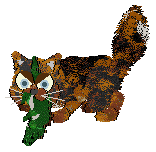 Funfetti Apiary In The Woods — “Honeybit”