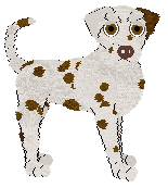 DARKNESS Fizzing Bee-shaped Chocolate — “Whizzbees”