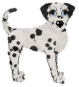 DARKNESS Star at the Dawn — “Morning Star”