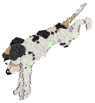 Funfetti's Starlight Serenity at Vanilla — “Eirene”