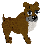 Profile image of Audaxity's Antilles Bravado