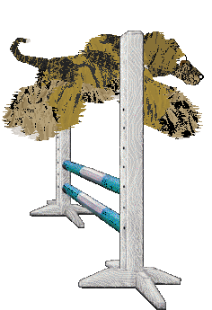 Cirrutopia's Lure of Freedom — “Lure”