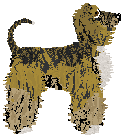 Cirrutopia's Lure of Freedom — “Lure”