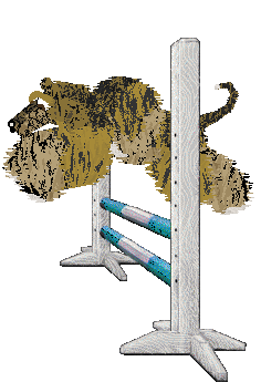 Cirrutopia's Lure of Freedom — “Lure”