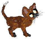 Profile image of SeaGlass's Bundle of Sticks