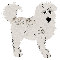 CXB/Cargo's Legendary Bounty at Cirrutopia — “Etta”