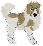 Profile image of Cargo/Cirrutopia's Solvent Solution